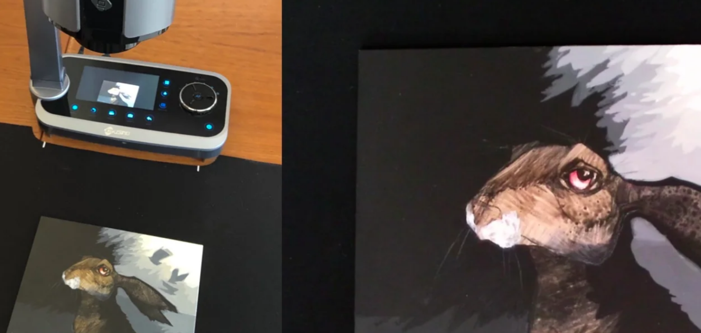 Making Online Teaching Easier: A Workshop Leader’s Notes on the Document Camera Featured Image