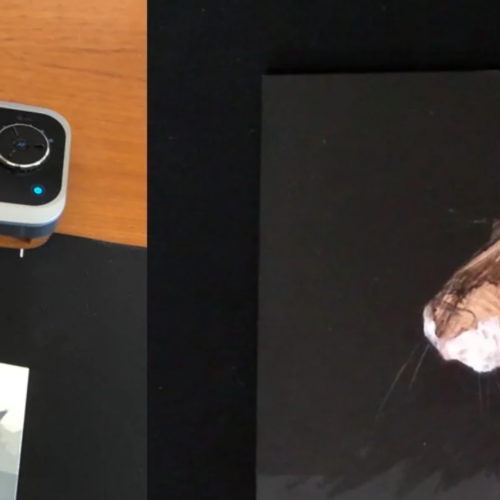 Making Online Teaching Easier: A Workshop Leader’s Notes on the Document Camera Featured Image